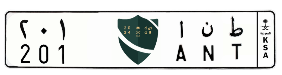 لوحة ط ن ا 201